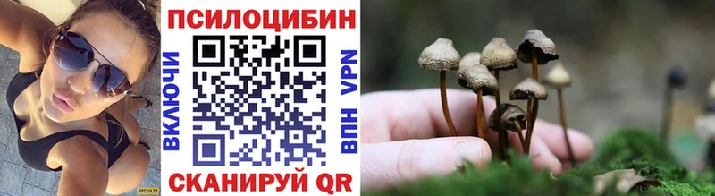 где продают   Алапаевск  Псилоцибиновые грибы мухоморы 