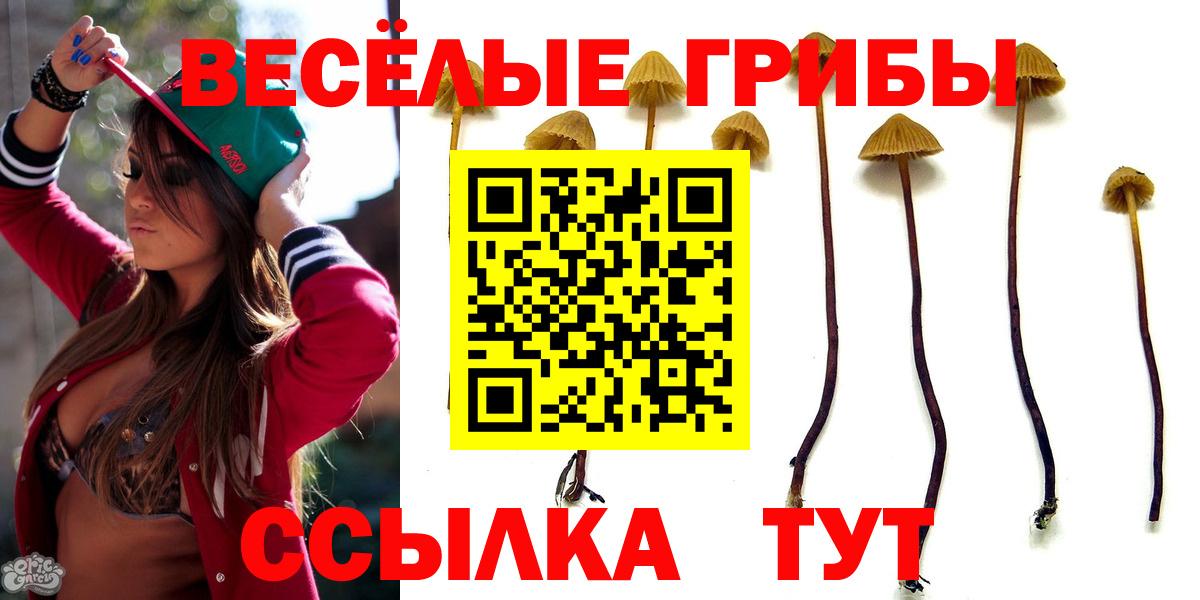 Галлюциногенные грибы Magic Shrooms Алапаевск